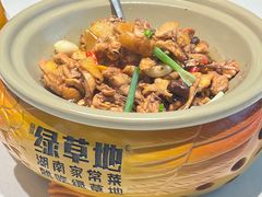 -绿草地·湘菜(芙蓉天街店)
