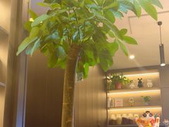 -鹿栖.精油SPA(金山世纪城店)