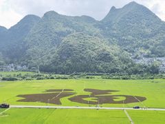 -万峰林风景区
