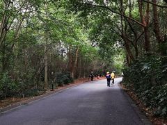 -大蜀山国家森林公园