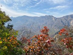 -北京上方山国家森林公园