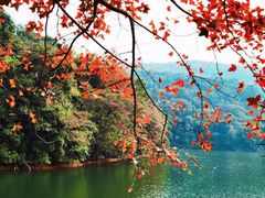 -广州市白云山风景名胜区