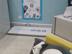 -纳吉亚猫专科动物医院·北北分院