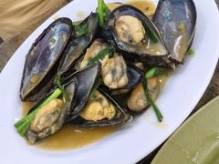 姜葱炒青口-贞姨美食·老字号海鲜大排档