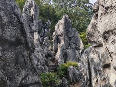 -千岛湖石林
