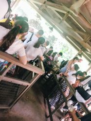 -翱翔飞越地平线