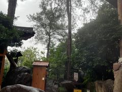 -唐风温泉