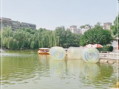 -莲湖公园