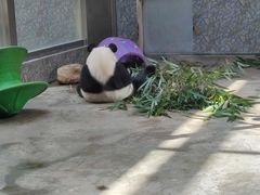 -西安秦岭野生动物园