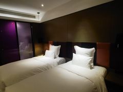 -南京禄口机场雅高铂尔曼大酒店