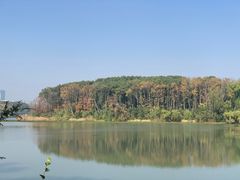 -昆山城市生态森林公园