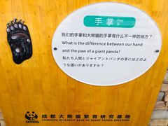 -熊猫厨房