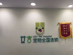 -艾吉宠物医院·疑难杂症转诊中心·猫友好(碧江路院)