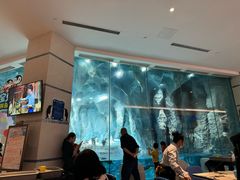 -帝企鹅自助餐厅•儿童岛•真企鹅(长隆企鹅酒店)