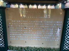 -俄罗斯风情小镇