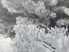 -国信南山温泉
