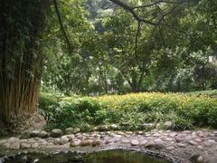 -成都市活水公园