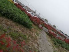 -安飞驰驾校·学车连锁(金高店)