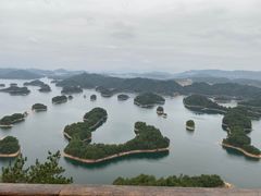 -好灶头妈妈菜·柴火灶台鱼·千岛湖土菜地标美食