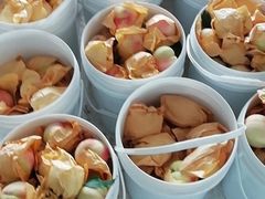 -南汇新场正宗水蜜桃采摘