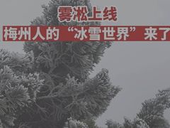 -梅州天地人花园酒店(梅县人民广场店)