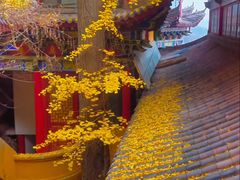 -遵化市禅林寺古银杏风景园