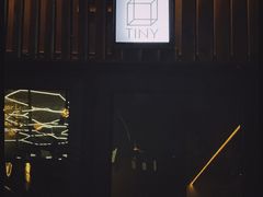 -TINY