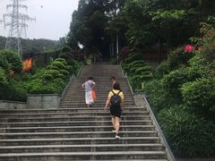 -仙岳公园