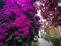 -阿婆情腊排骨火锅(金虹路店)