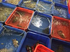 -幸福姐海鲜大排档