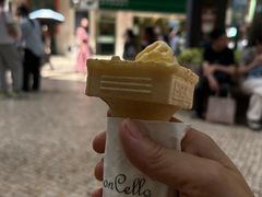 -柠檬车露(卖草地店)