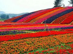 -狼牙山风景区