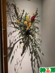 -芳香乐府疗愈空间·SPA·冥想