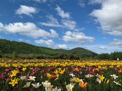-北极村旅游风景区