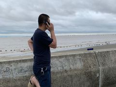 -南汇嘴观海公园