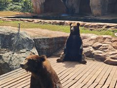 -海南热带野生动植物园