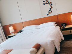 -广州奥园喜来登酒店