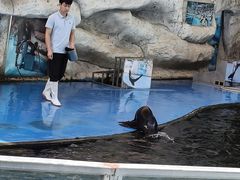 -泉州海丝野生动物世界