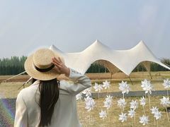 -汉长安城未央宫国家考古遗址公园