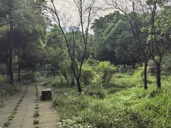 -重庆彩云湖湿地公园