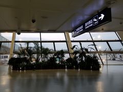 -合肥新桥国际机场-航站楼