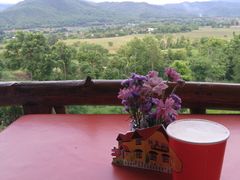 -黄色小屋