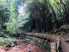 -凤栖山