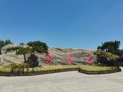 -中华郡文化旅游景区