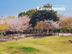 -江南大学(蠡湖校区)