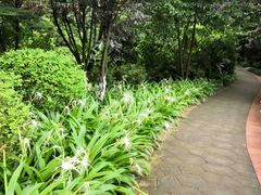 -龙头寺公园