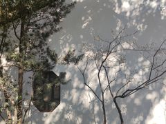 -汇龙潭