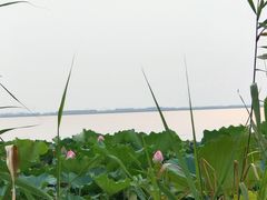 -阳澄湖费尔蒙酒店