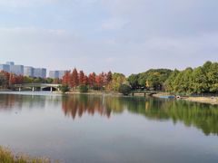 -尚贤河湿地