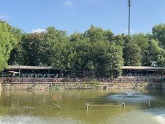 -尚庄度假村·庭台树下·户外烧烤·团建CS·轰趴营地(上庄水库店)